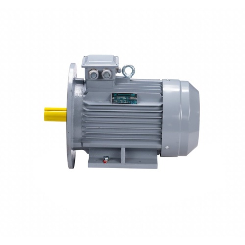 Эл.двигатель ESQ PR 160 M2 GST-Б1-S12-IE2 18.5/3000 IM 2001 фото 10