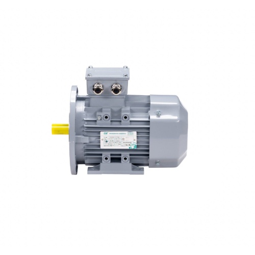 Эл.двигатель ESQ PR 315 S6-SDN-Б1-S32-IE3 75/1000 IM B35 фото 10