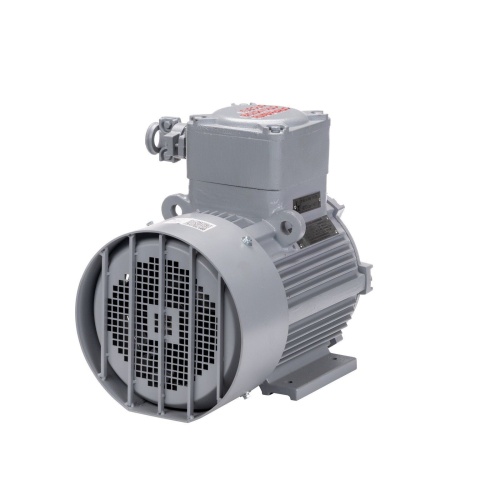 Эл.двигатель АИМУ 100 L8 У1, 380В, 1ExdIIBT4 Gb, 1.5/750  IM 1081 фото 6